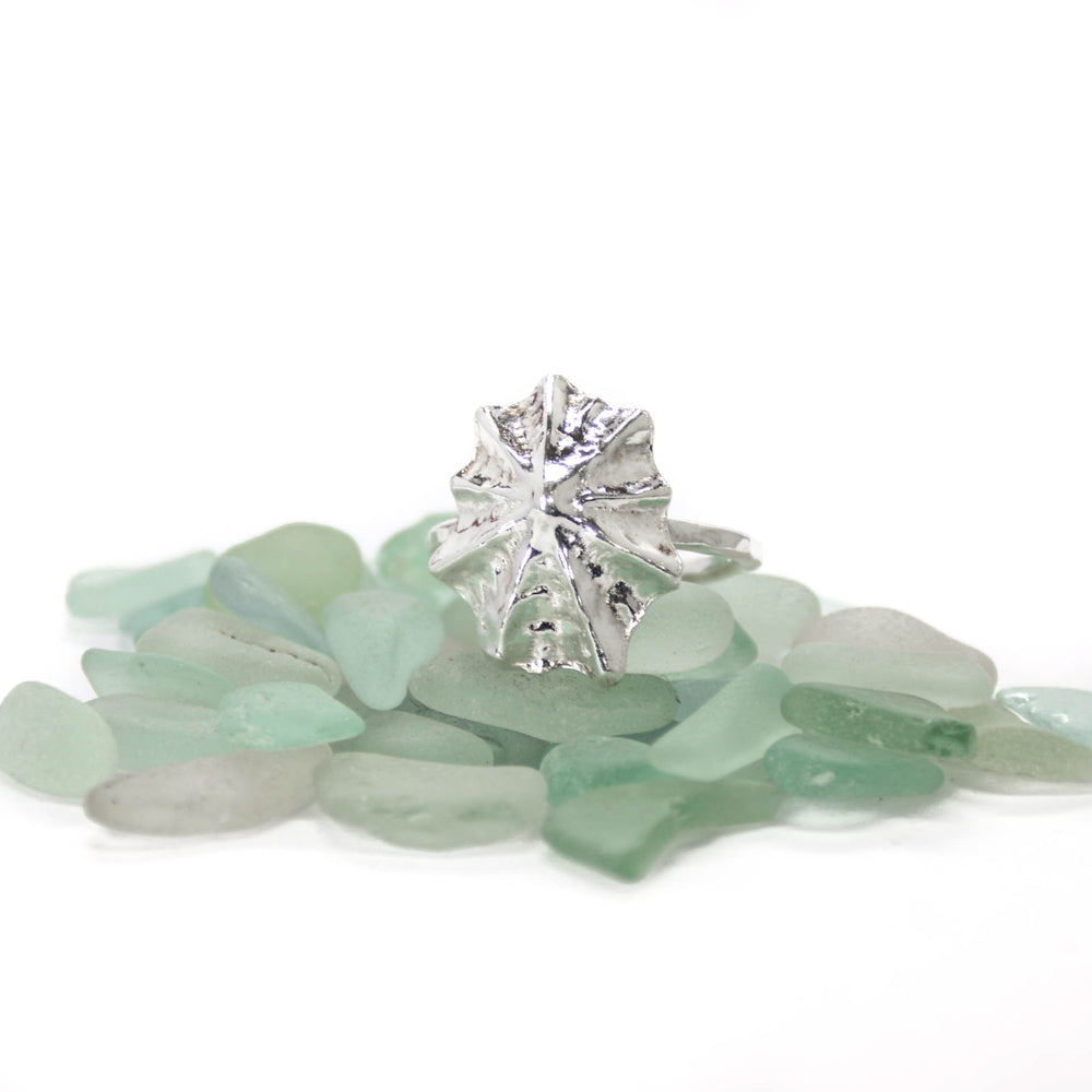 Barricane Silver Limpet Ring