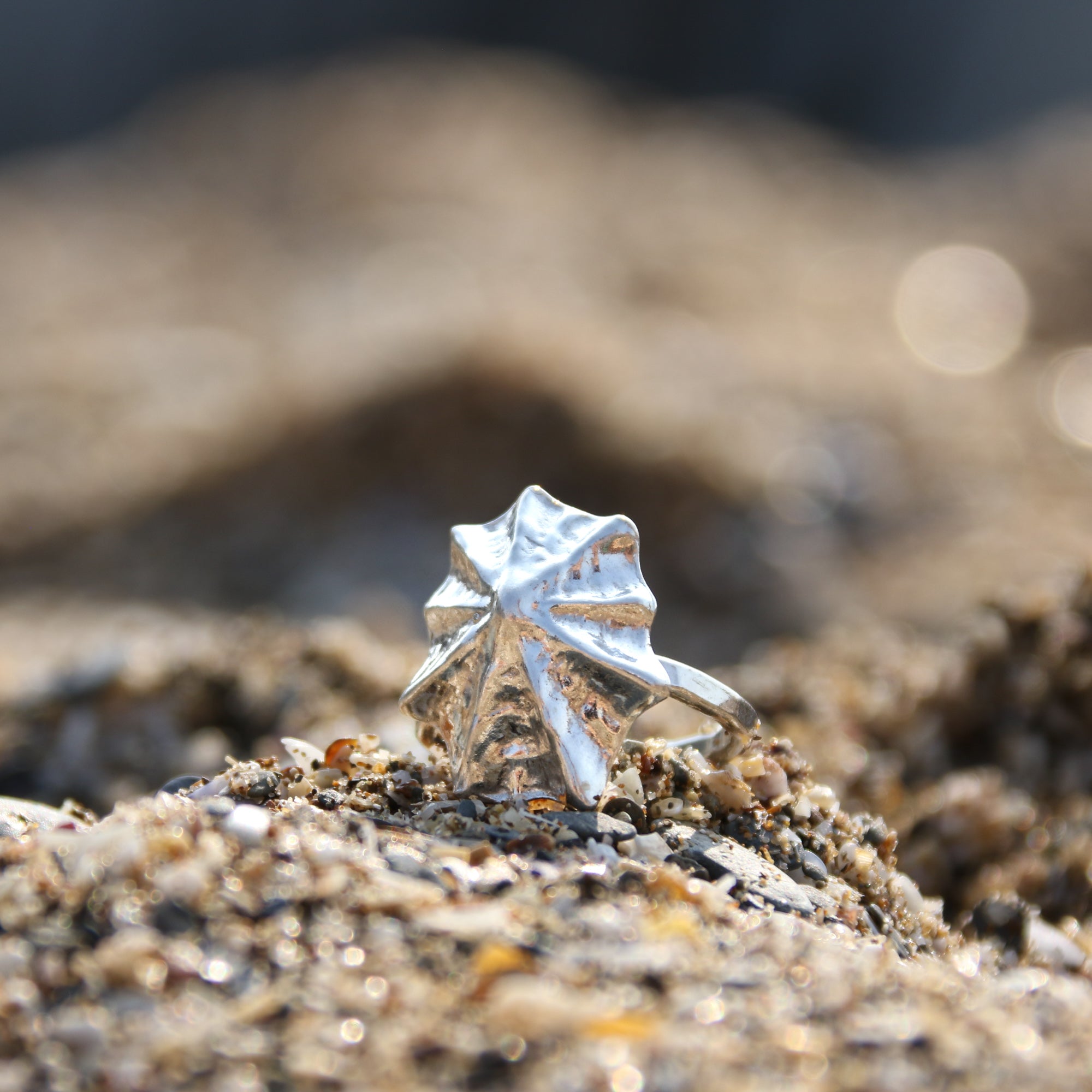 Barricane Silver Limpet Ring