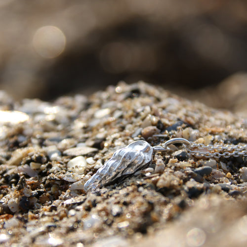 Barricane Wentletrap shell necklace