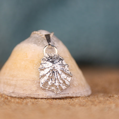 Broadsands Secrets - Fine silver limpet necklace
