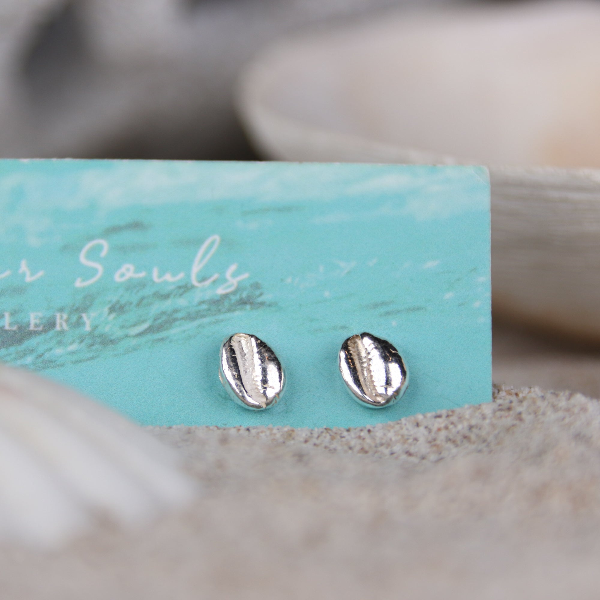 Hele Bay Silver Cowrie Studs - Saltwater Souls fine silver (.999) cast tiny cowrie shell found at Hele Bay, North Devon, upon sterling silver studs, perfect for an undercover mermaid.