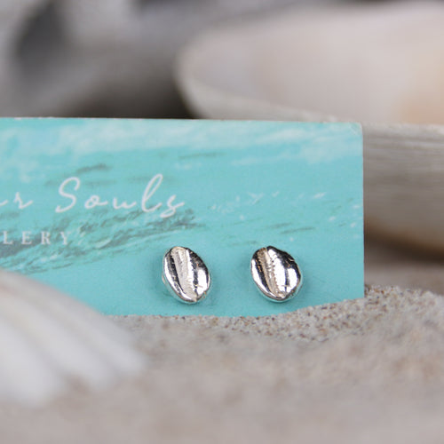 Hele Bay Silver Cowrie Studs - Saltwater Souls fine silver (.999) cast tiny cowrie shell found at Hele Bay, North Devon, upon sterling silver studs, perfect for an undercover mermaid.