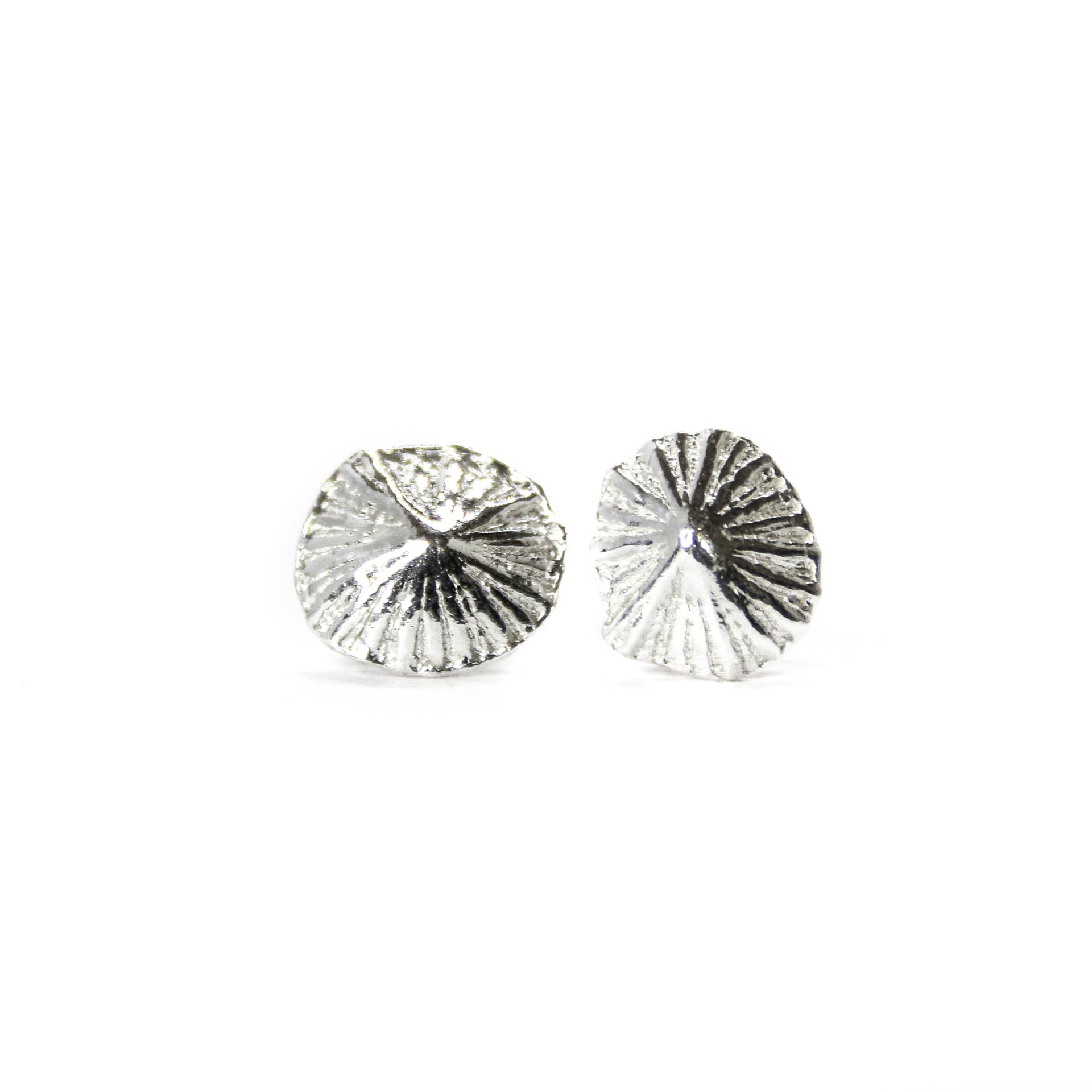 Little Limpet Studs - Two beautiful limpet shells cast in fine silver (0.99) creating a unique pair of studs.