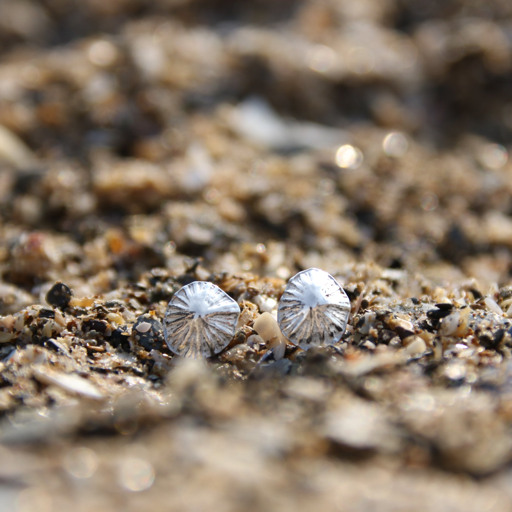 Little Limpet Studs - Two beautiful limpet shells cast in fine silver (0.99) creating a unique pair of studs.
