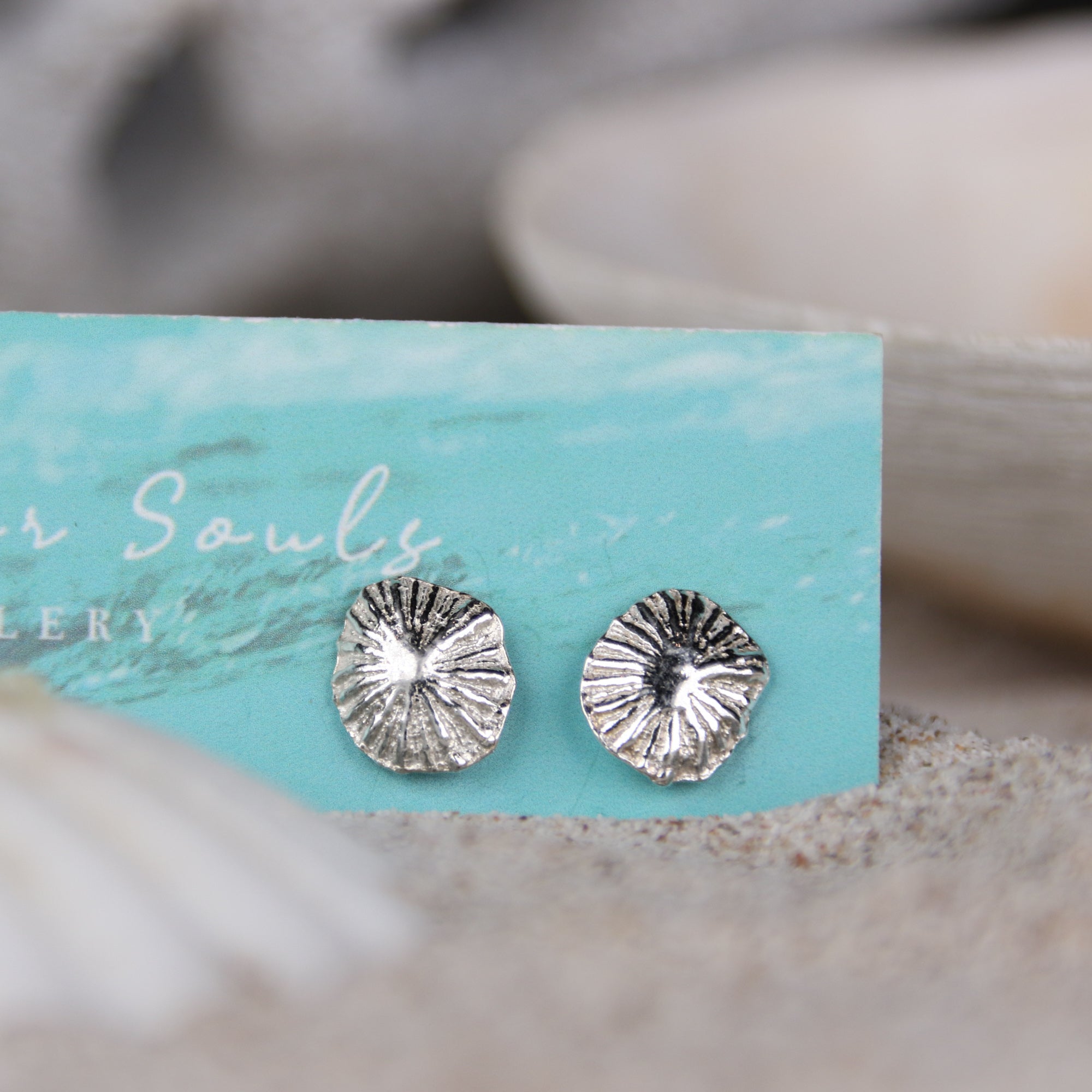 Little Limpet Studs - Two beautiful limpet shells cast in fine silver (0.99) creating a unique pair of studs.