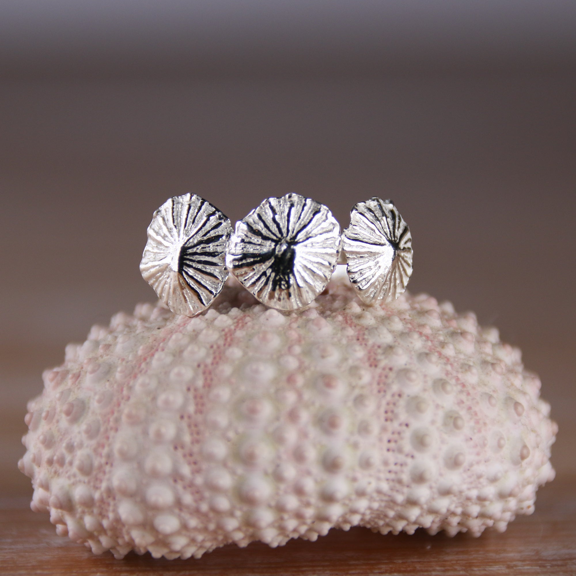 Mermaid Kisses - Saltwater Souls fine silver (.999) triple tiny limpet shell on a hammered effect recycled sterling silver mermaid ring.