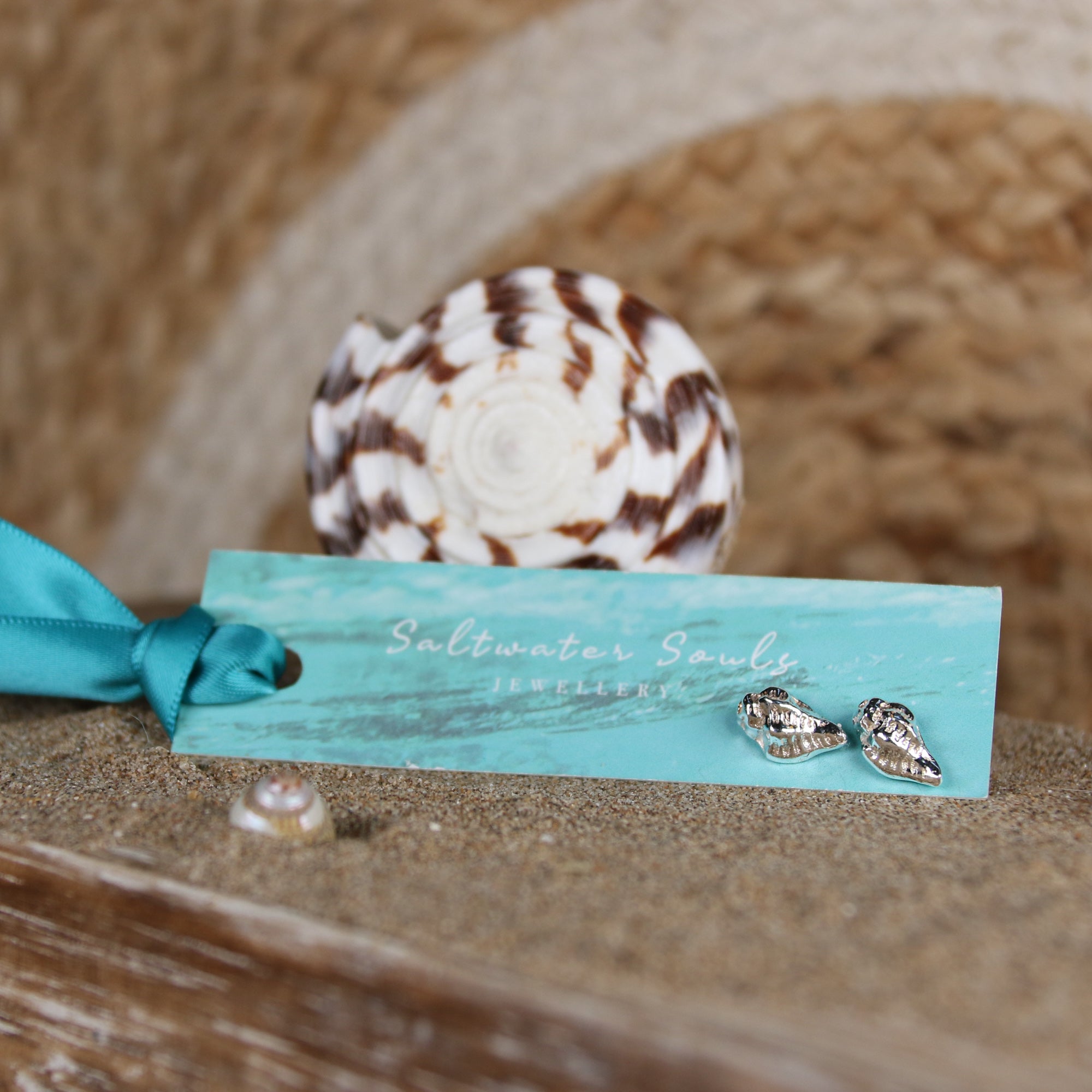 Rockpool Studs - Two beautiful sea shells found at Newberry Beach, Combe Martin, North Devon, cast in fine silver (0.999) creating a unique pair of studs.