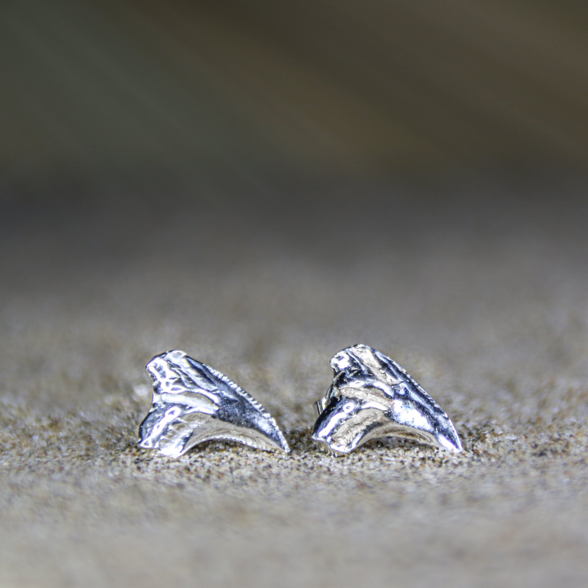 Shark Bay Stud - Saltwater Souls fine silver (.999) cast shark tooth stud earrings.