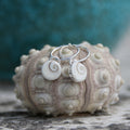 Shiva's Secrets - Saltwater Souls recycled sterling silver shiva shell earrings.