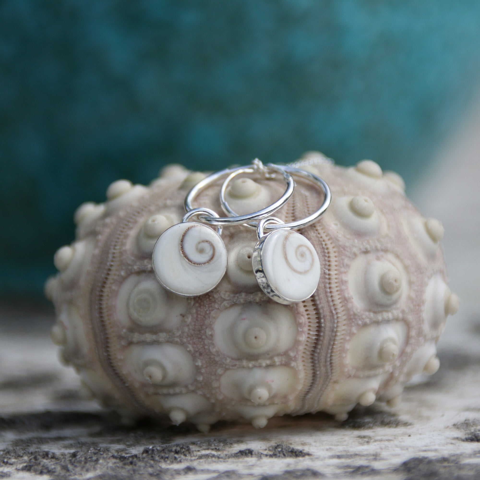 Shiva's Secrets - Saltwater Souls recycled sterling silver shiva shell earrings.