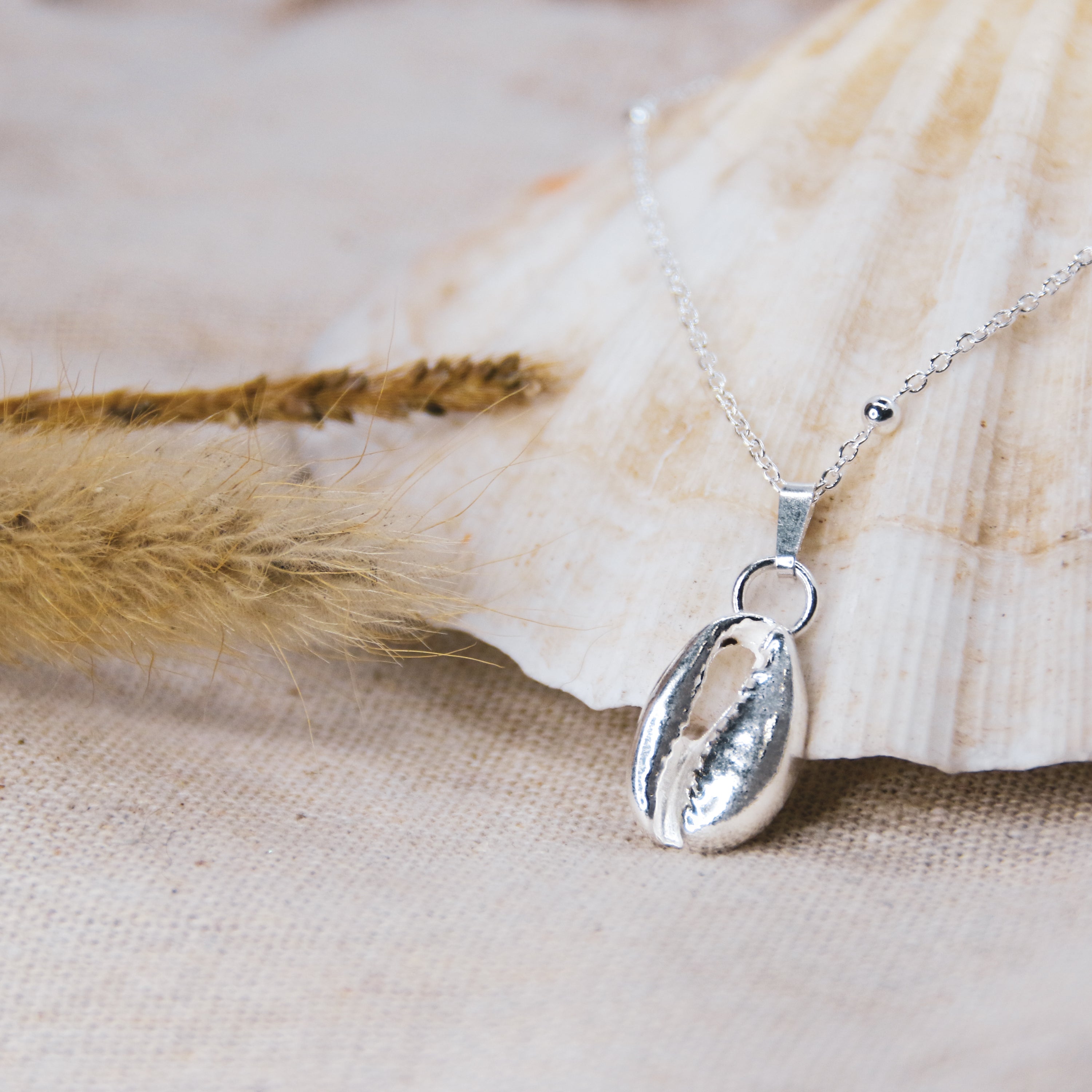 Silver Cowrie - Saltwater Souls fine silver (.999) cowrie shell cast on a sterling silver chain.