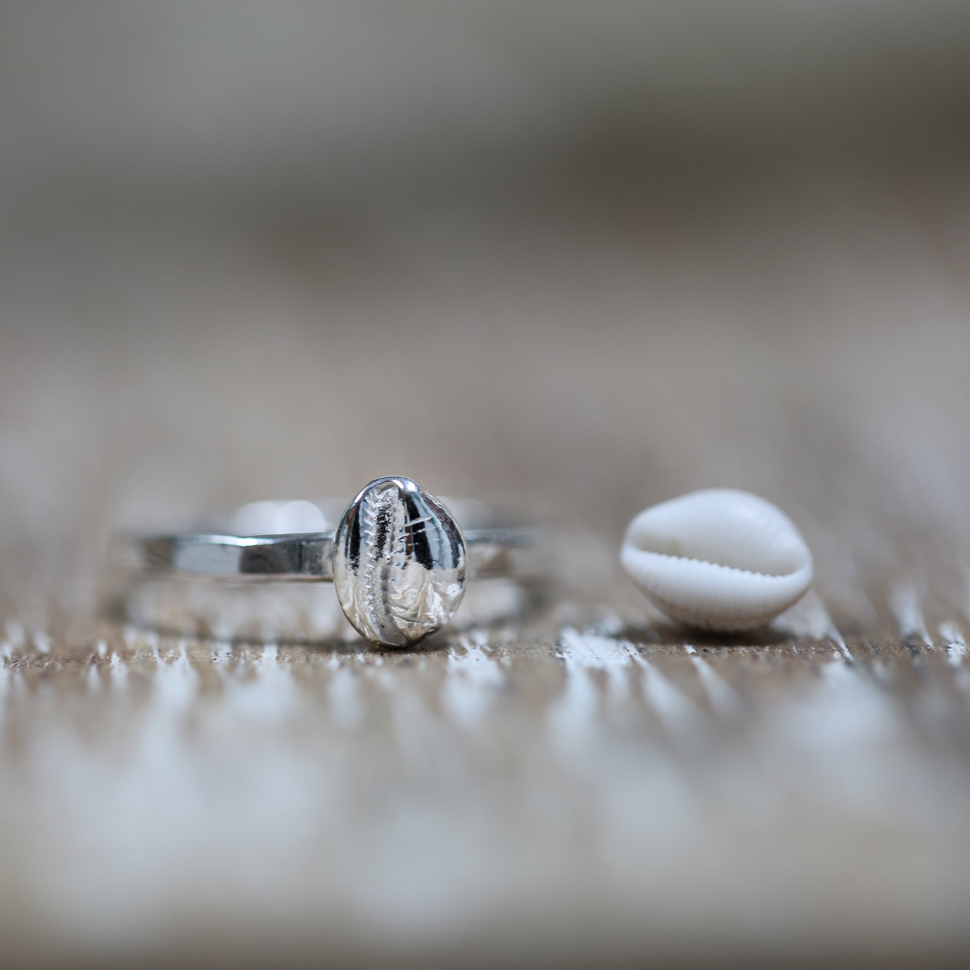 Hele Bay Silver Cowrie Ring - Saltwater Souls fine silver (.999) cast tiny cowrie shell found at Hele Bay, North Devon, on a hammered effect recycled sterling silver stacking ring.