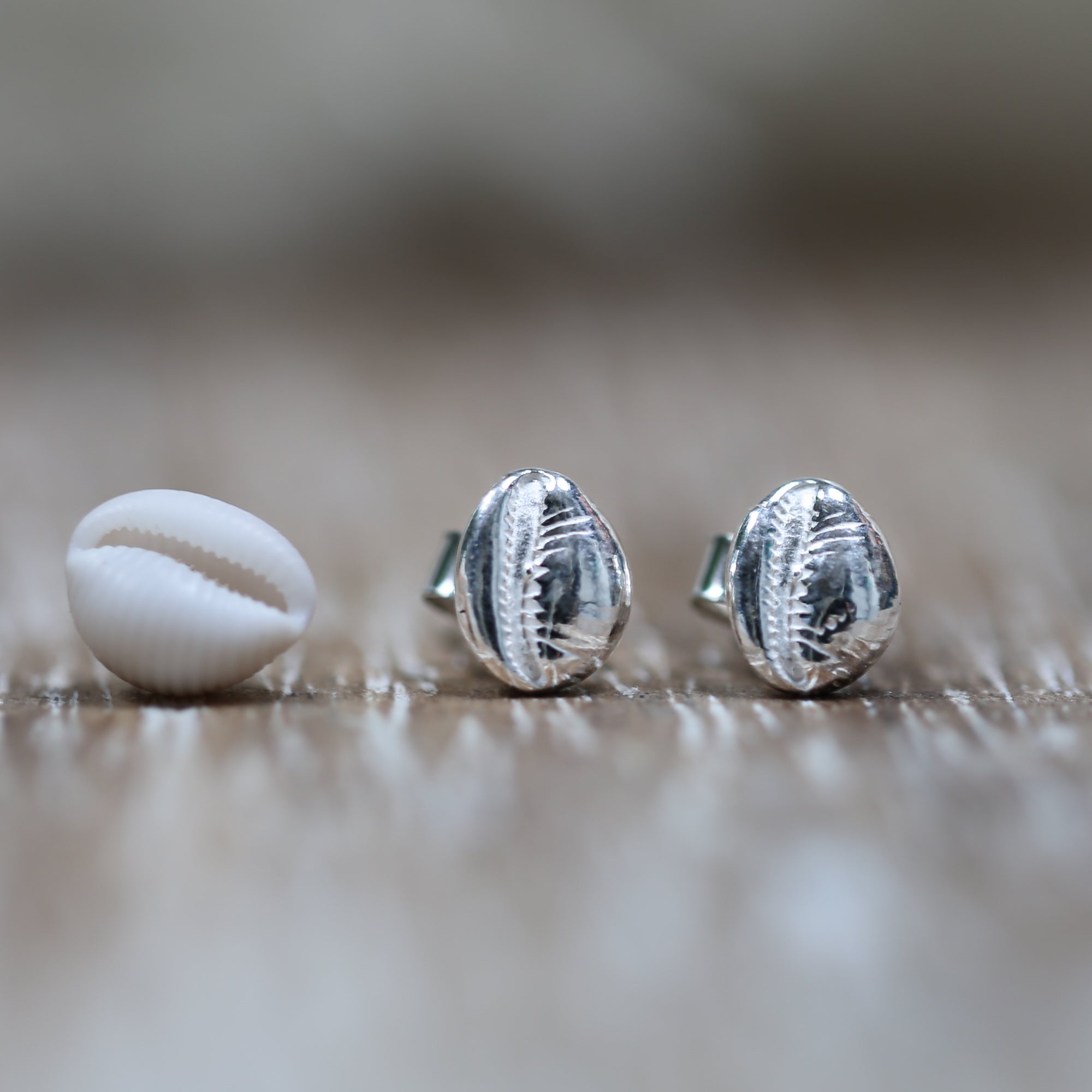 Hele Bay Silver Cowrie Studs - Saltwater Souls fine silver (.999) cast tiny cowrie shell found at Hele Bay, North Devon, upon sterling silver studs, perfect for an undercover mermaid.