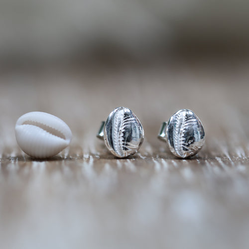 Hele Bay Silver Cowrie Studs - Saltwater Souls fine silver (.999) cast tiny cowrie shell found at Hele Bay, North Devon, upon sterling silver studs, perfect for an undercover mermaid.