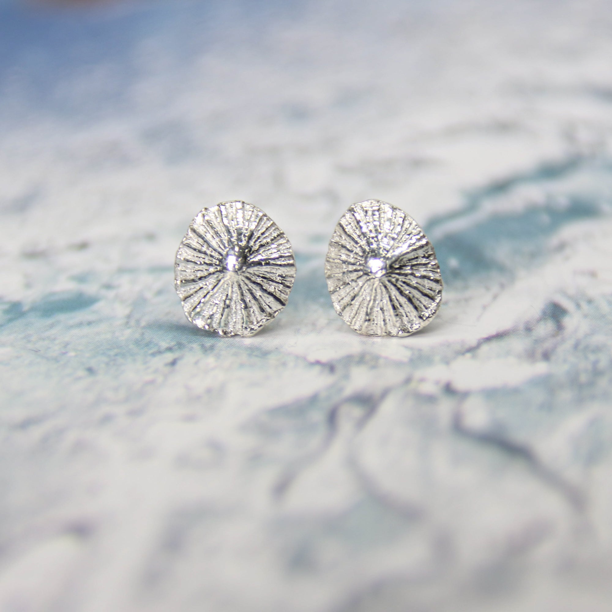 Little Limpet Studs - Two beautiful limpet shells cast in fine silver (0.99) creating a unique pair of studs.