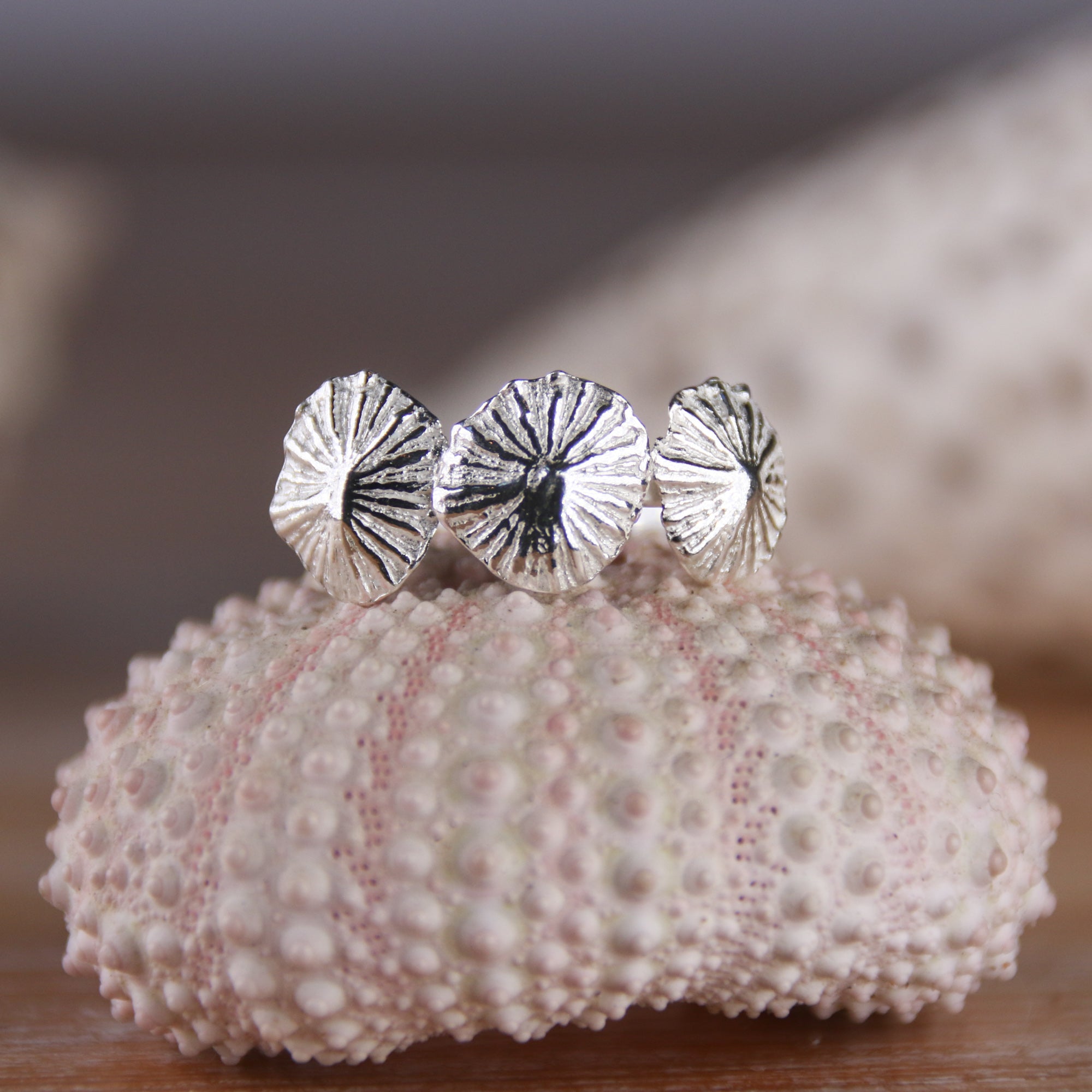 Mermaid Kisses - Saltwater Souls fine silver (.999) triple tiny limpet shell on a hammered effect recycled sterling silver mermaid ring.