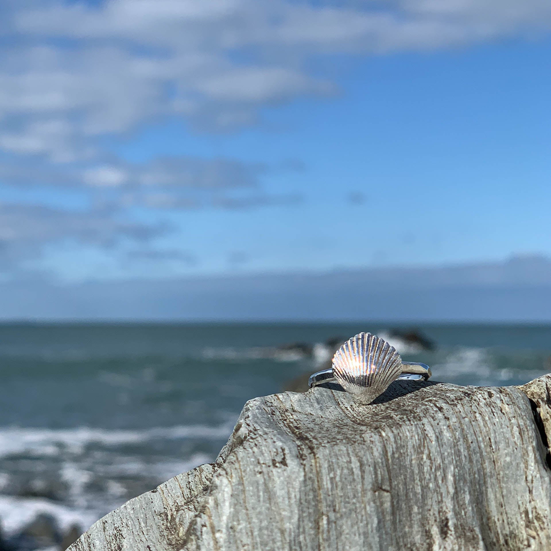 Mermaid's Song Ring- Saltwater Souls fine silver (.999) cast cockle shell on a hammered effect recycled sterling silver stacking ring.