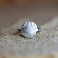 Mermaid's Song Ring- Saltwater Souls fine silver (.999) cast cockle shell on a hammered effect recycled sterling silver stacking ring.