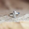 Rock Pool Ring - Saltwater Souls fine silver (.999) cast sea shell on a hammered effect recycled sterling silver stacking ring.