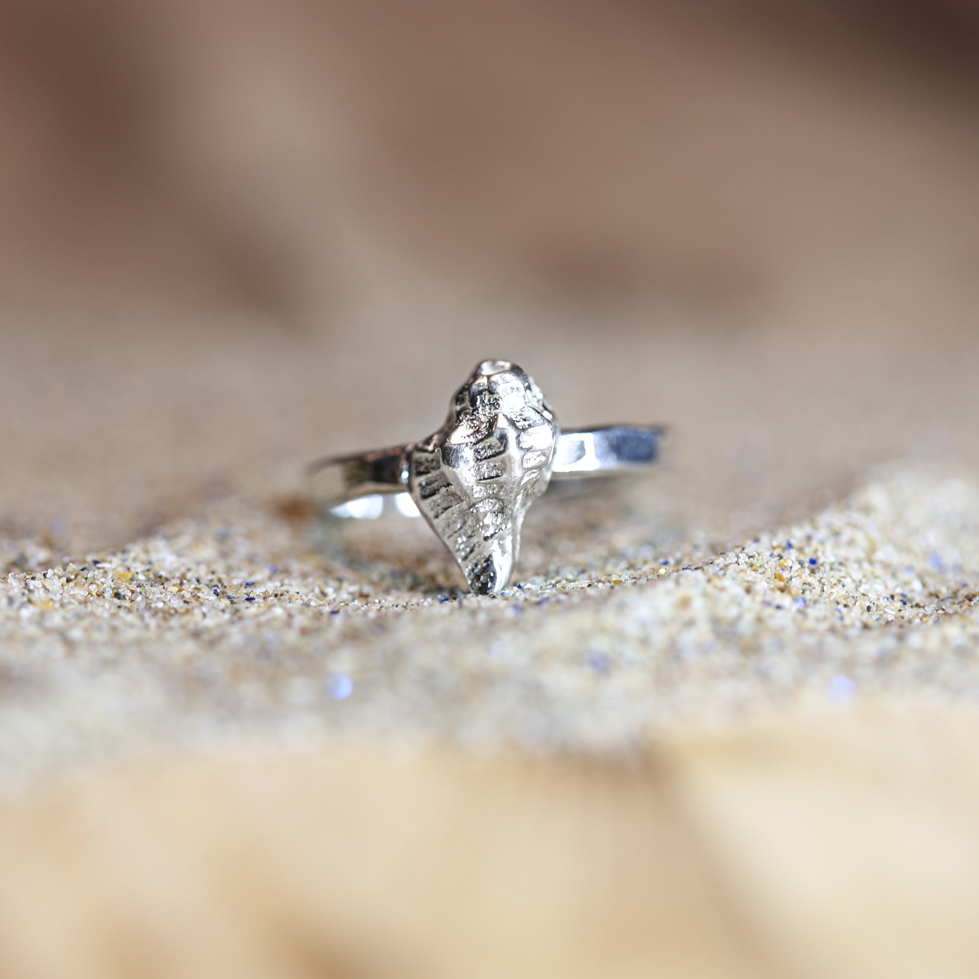 Rock Pool Ring - Saltwater Souls fine silver (.999) cast sea shell on a hammered effect recycled sterling silver stacking ring.