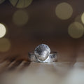 Mermaid's Song Ring- Saltwater Souls fine silver (.999) cast cockle shell on a hammered effect recycled sterling silver band.