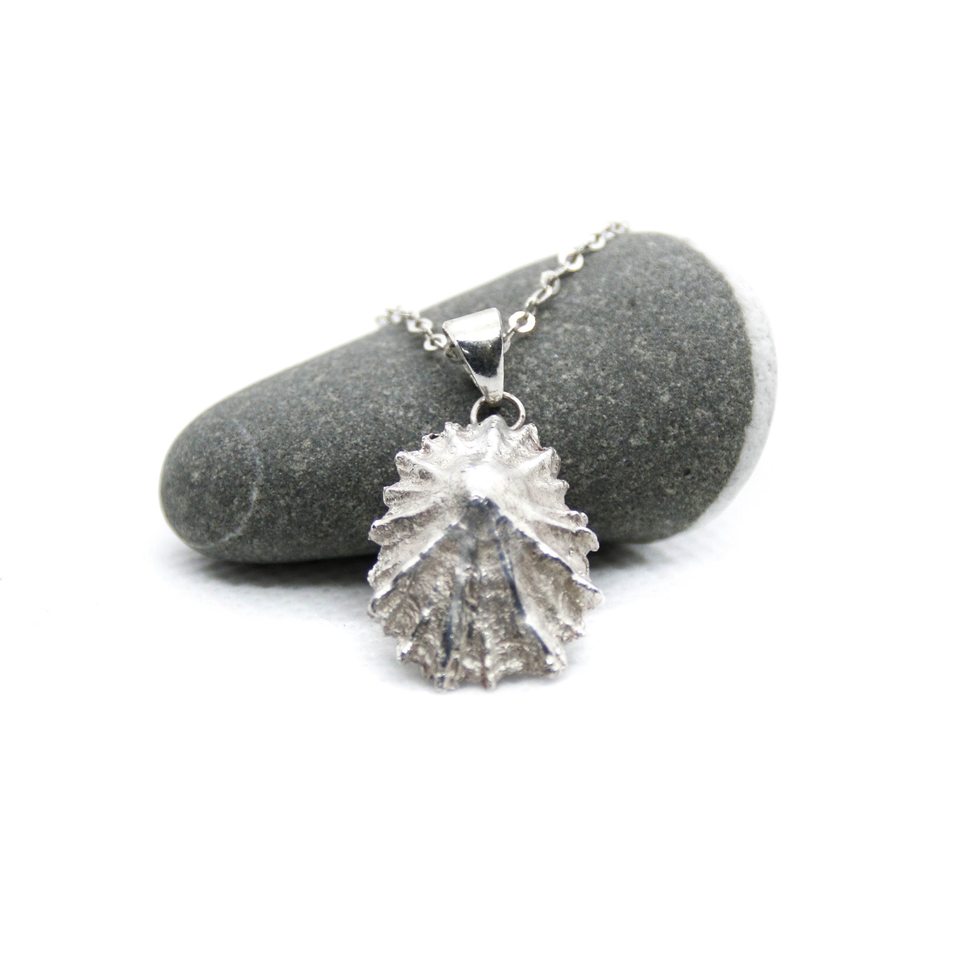 Barricane Silver Limpet - Saltwater Souls fine silver (.999) limpet shell cast pendant necklace. Shell found at Barricane Beach, Woolacombe.