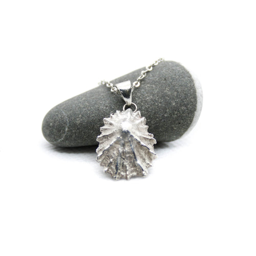 Barricane Silver Limpet - Saltwater Souls fine silver (.999) limpet shell cast pendant necklace. Shell found at Barricane Beach, Woolacombe.