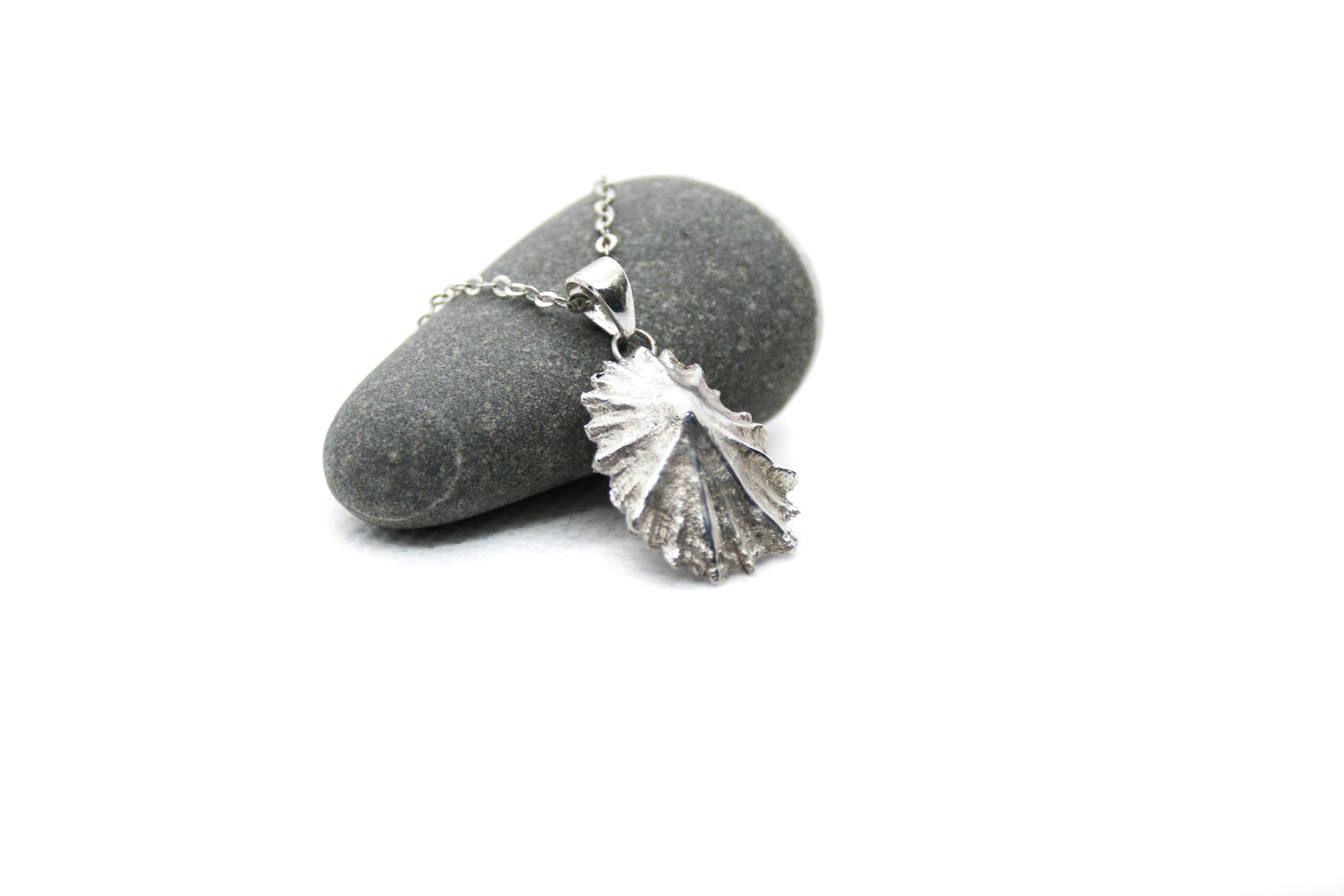 Barricane Silver Limpet Necklace