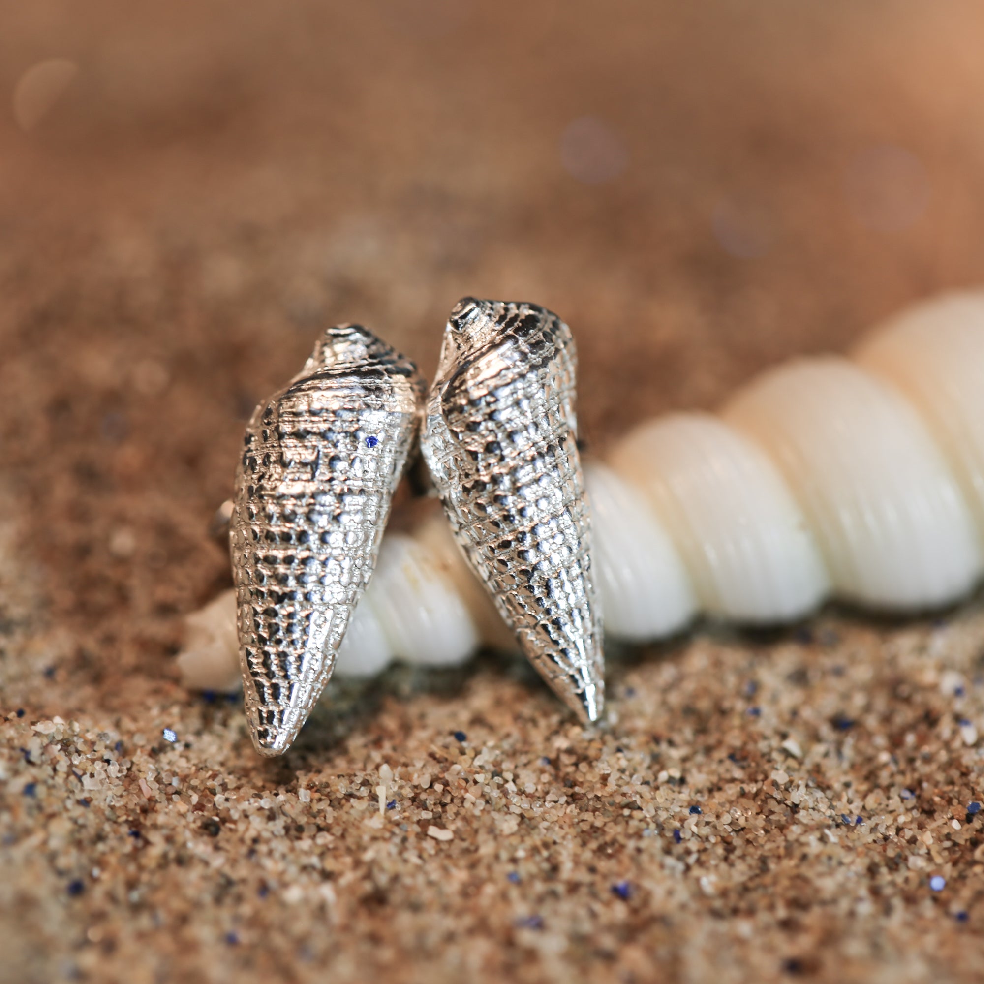Tide Line Studs - Two beautiful auger shells cast in fine silver (0.999) creating a unique pair of studs.