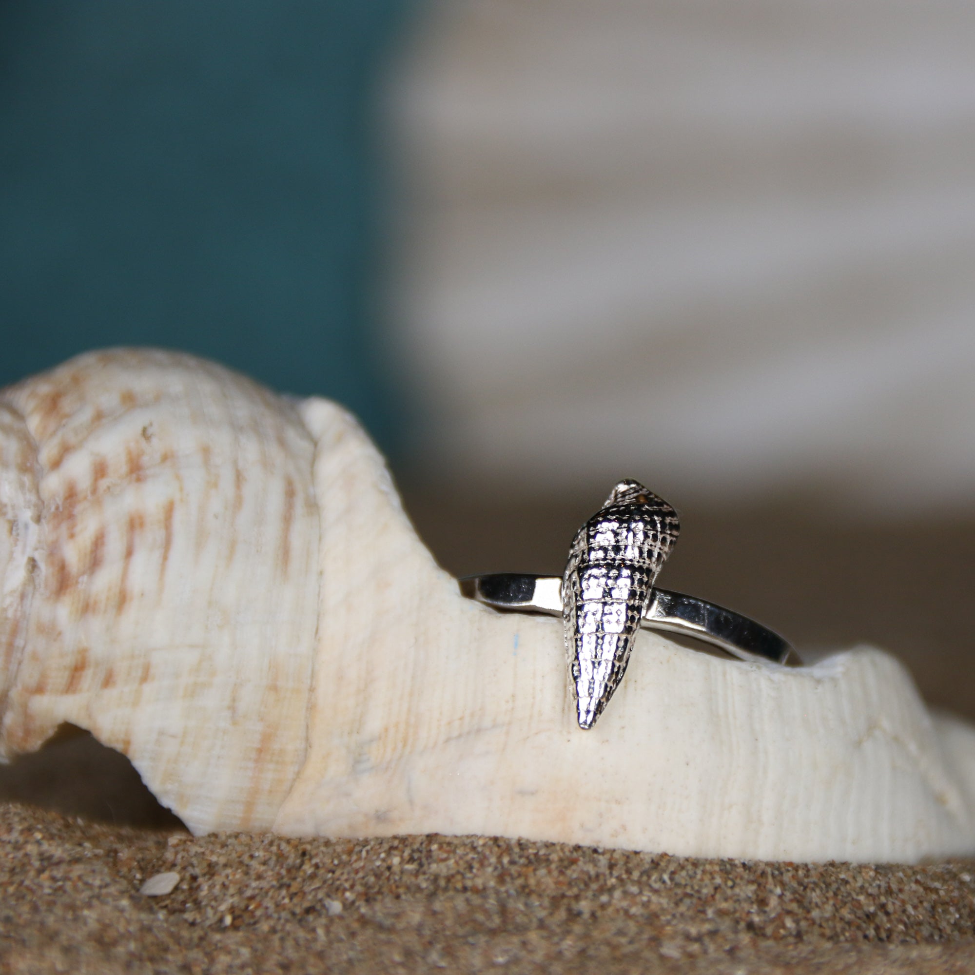 Tide Line Ring - A beautiful auger shell cast in fine silver (0.999) and set upon a recycled sterling silver hammered band.